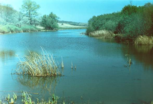 Река Медведица.